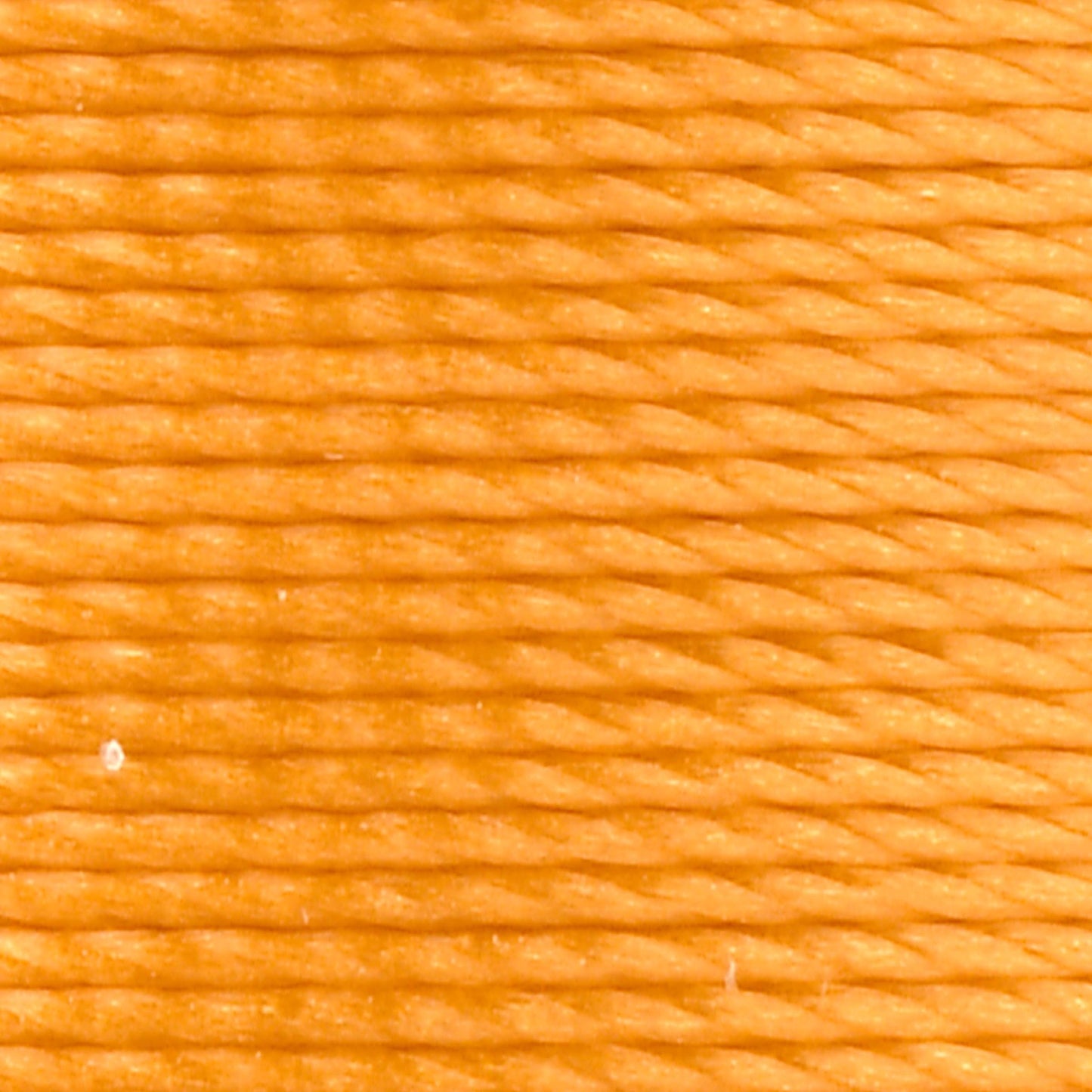 #color_207 gold fish