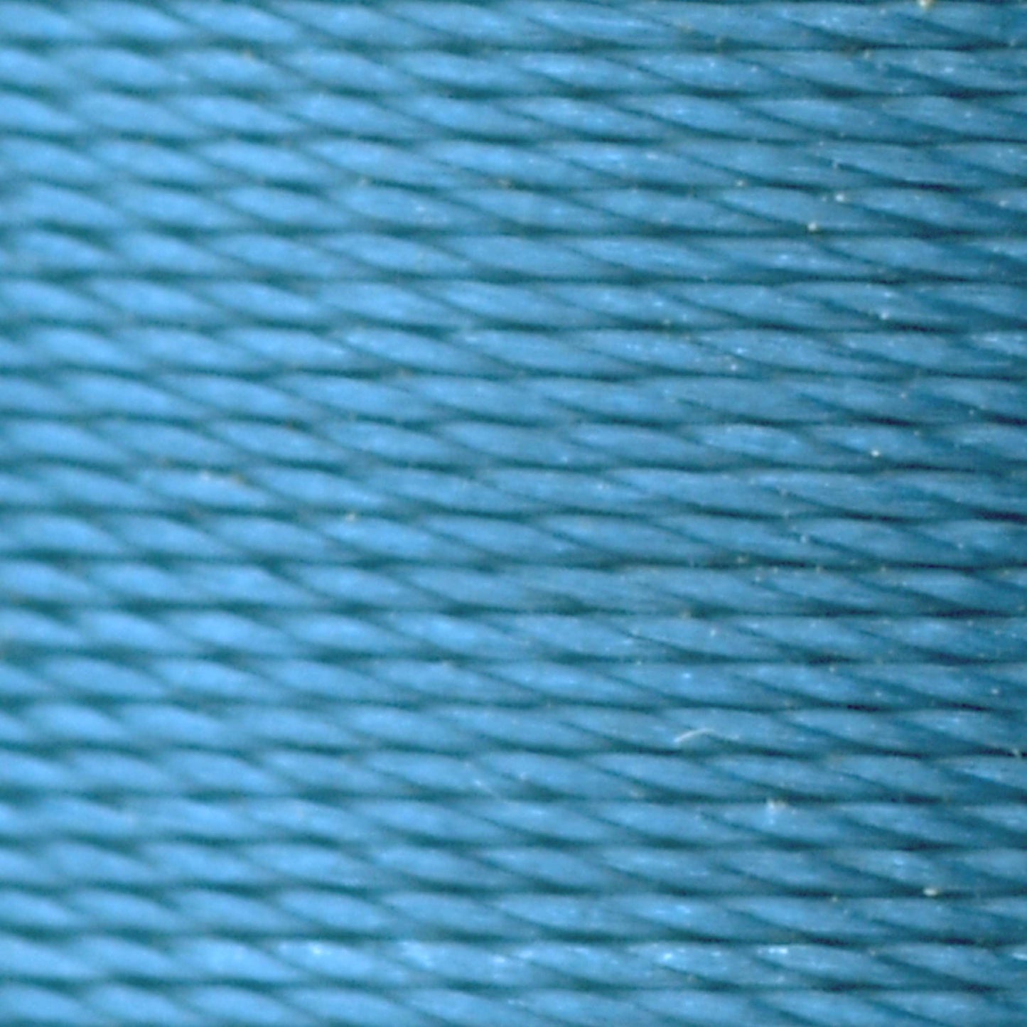 #color_431 tidal pool