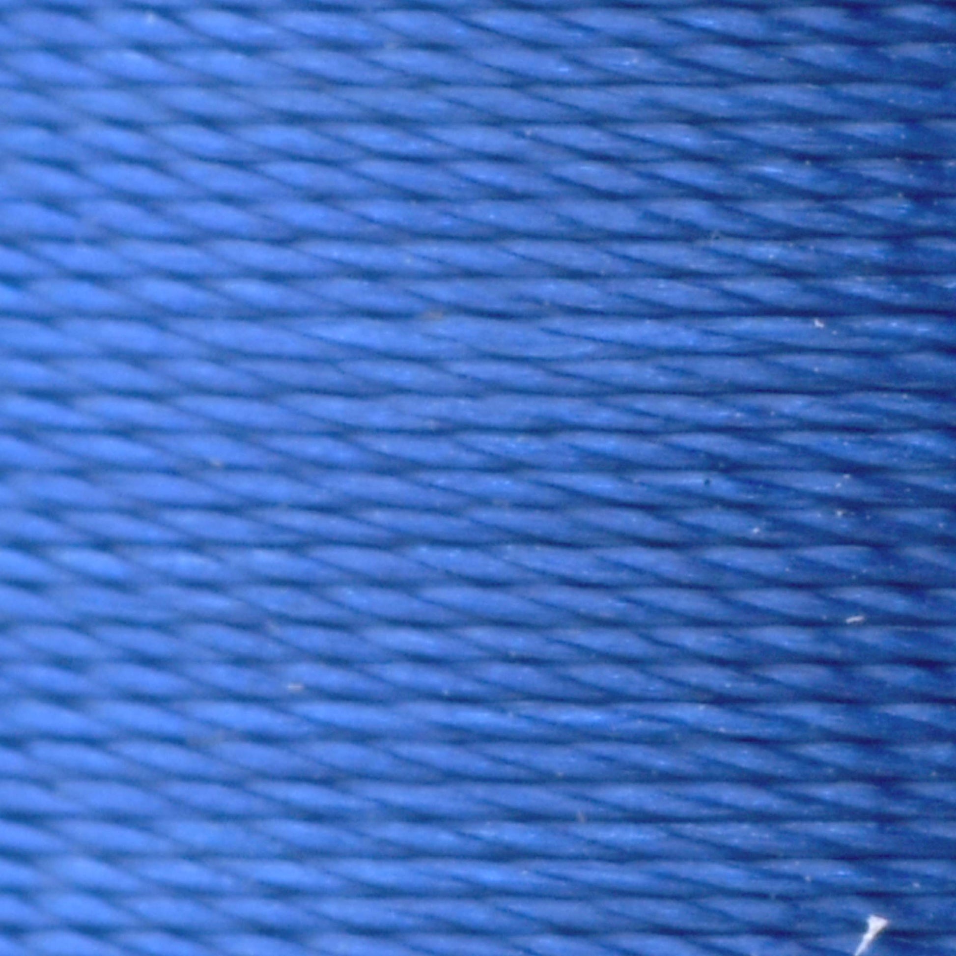 #color_449 wild blueberry