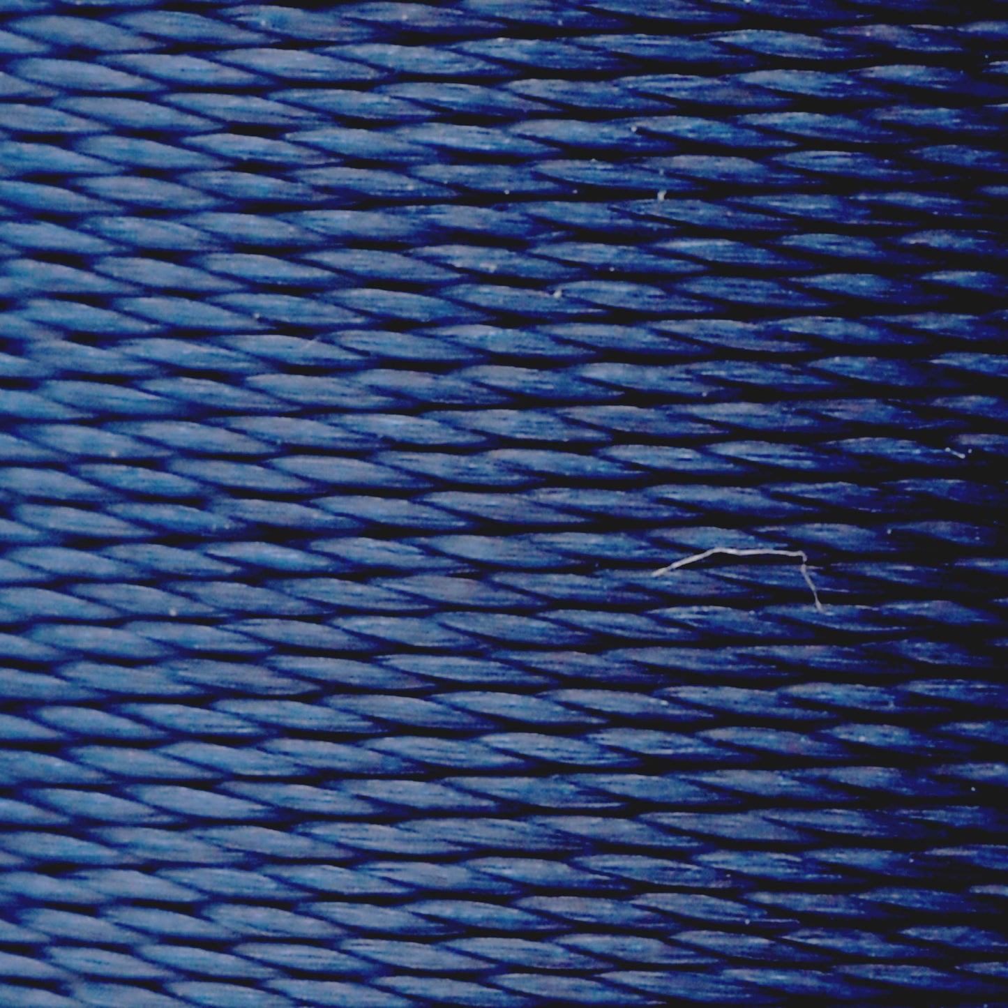 #color_470 blue marlin