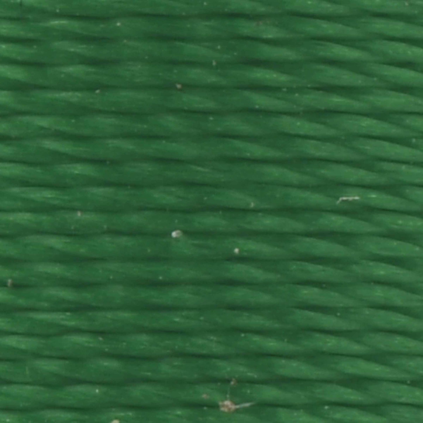 #color_519 rainforest