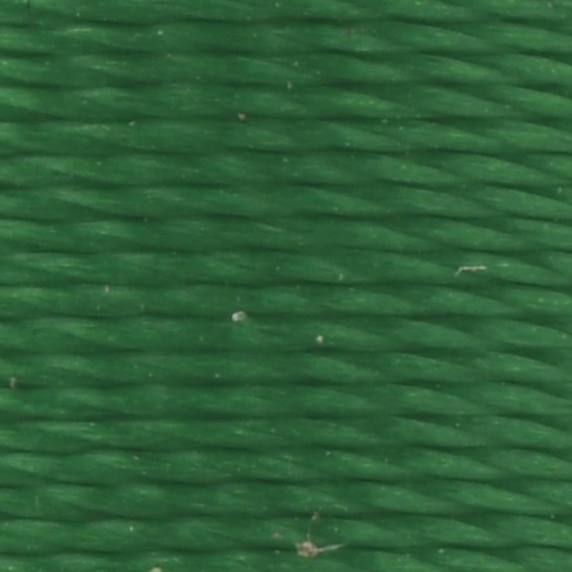 #color_519 rainforest