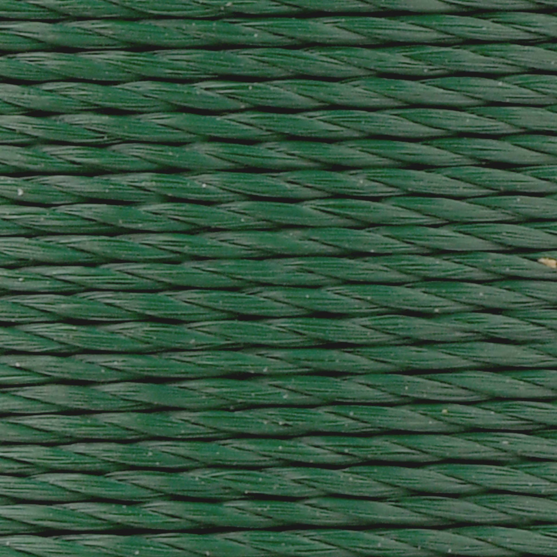 #color_543 evergreen