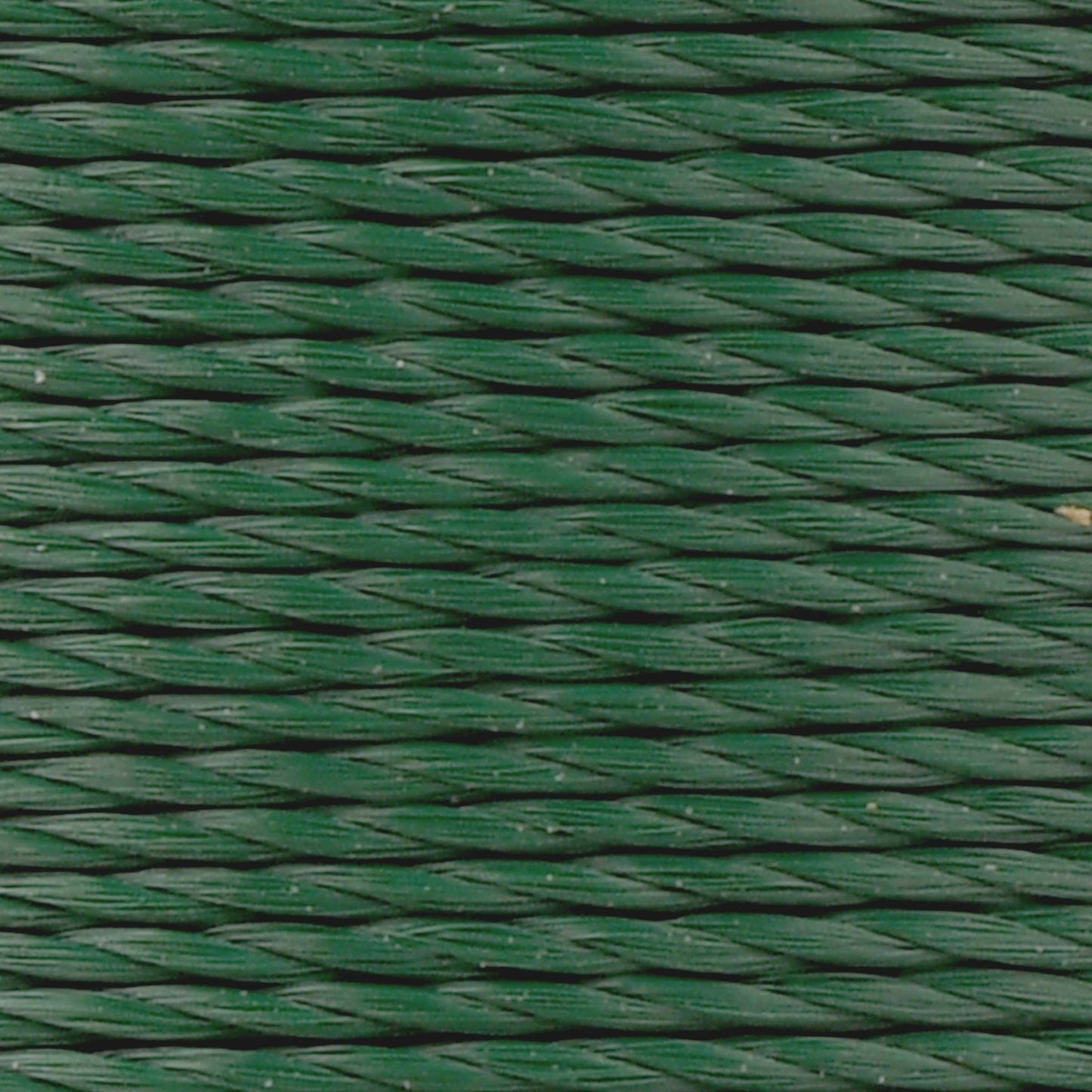 #color_543 evergreen