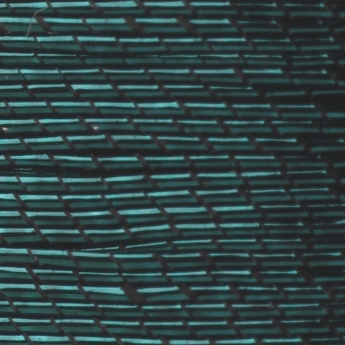 #color_9530 forest green