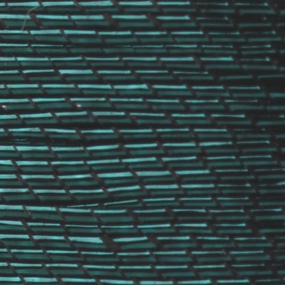 #color_9530 forest green