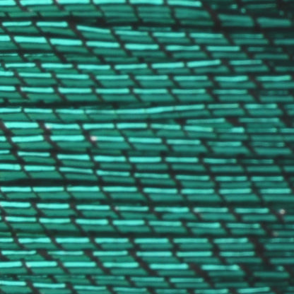 #color_9540 Shamrock