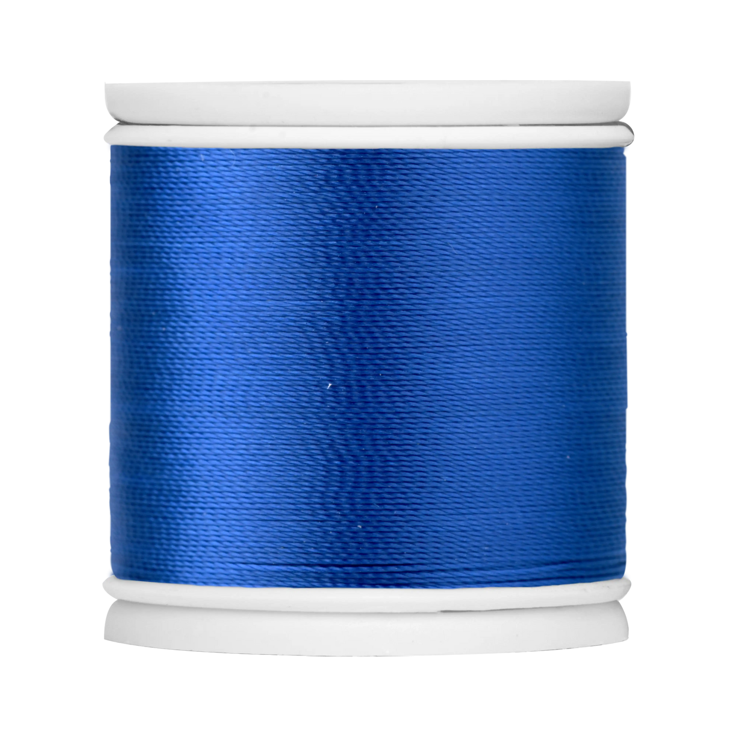 #color_449 wild blueberry