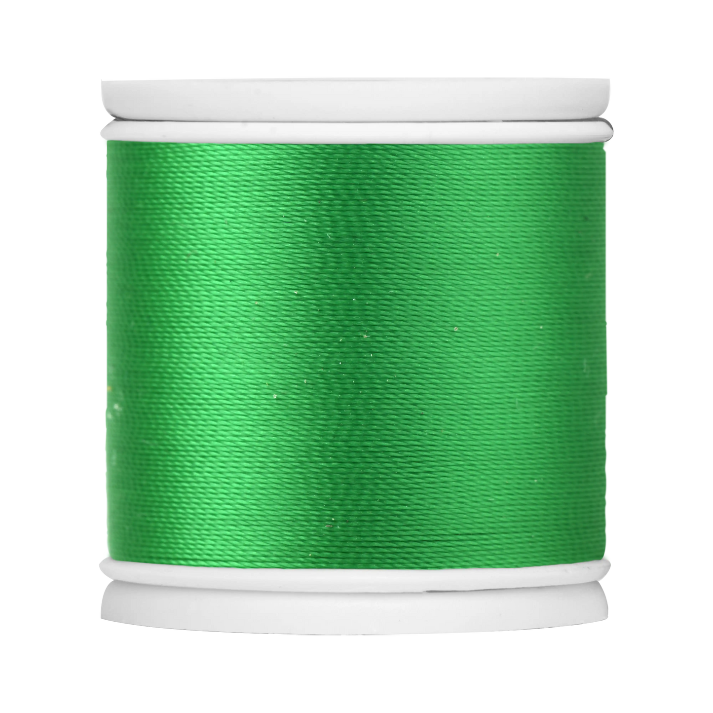 #color_519 rainforest