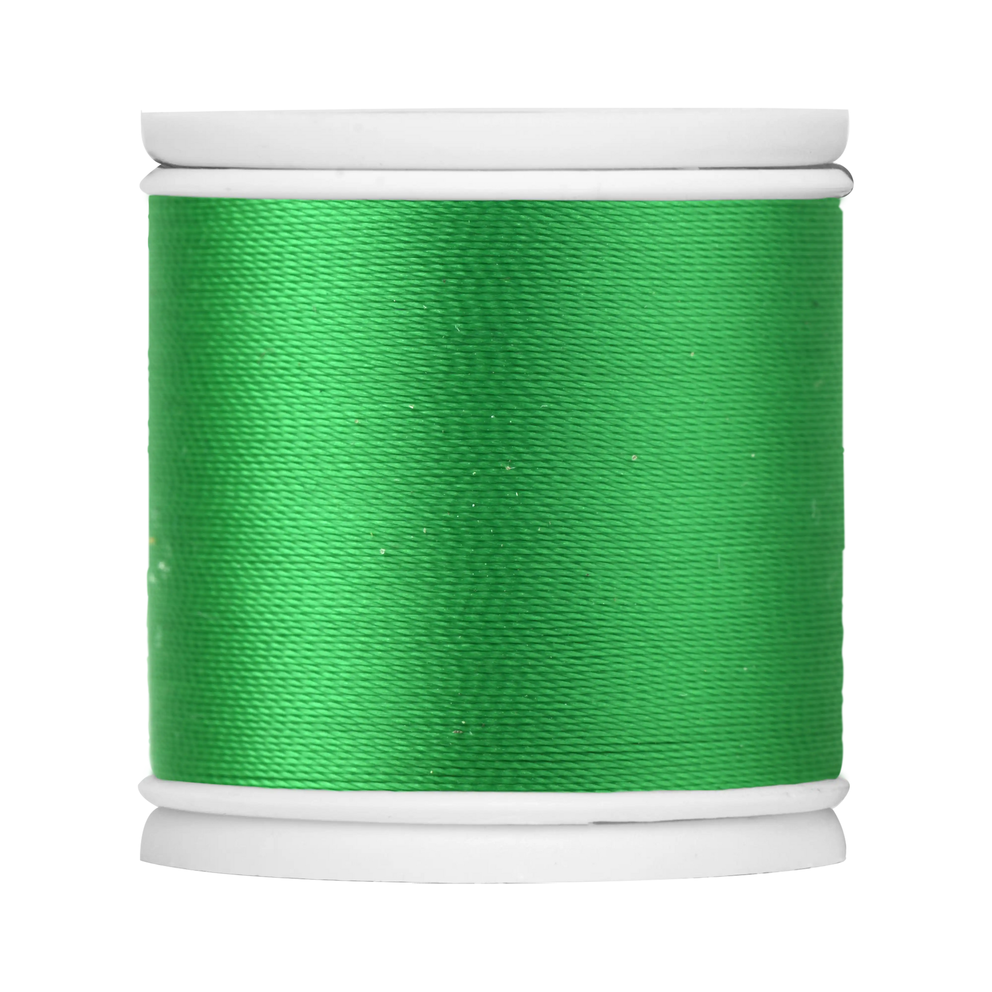 #color_519 rainforest